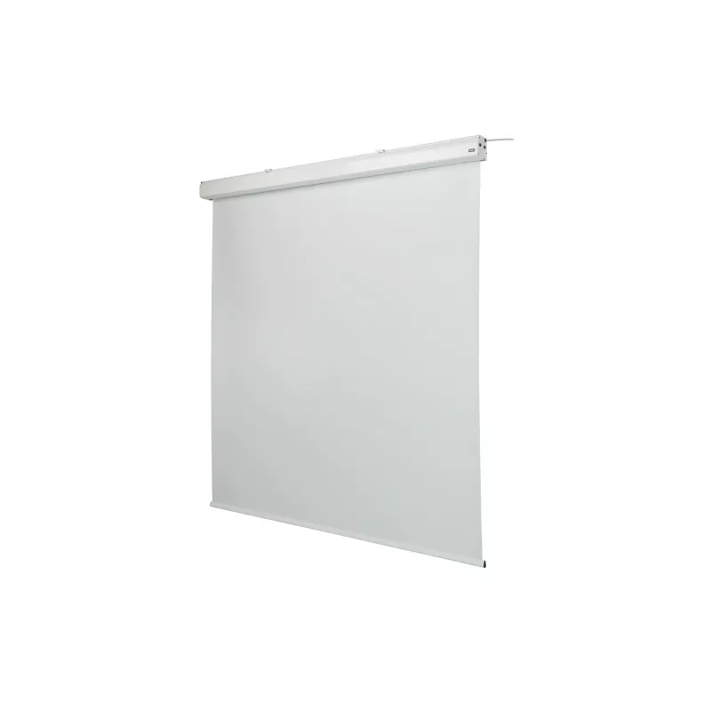 celexon Expert motorised projection screen, 156" (396 cm), 230 V
