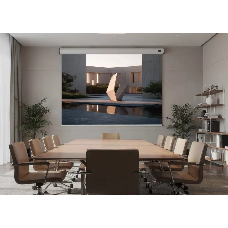celexon Expert motorised projection screen, 156" (396 cm), 230 V