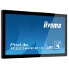 iiyama TF2234MC-B1X 21.5″ (55.9 cm) multi-touch computer monitor, 16:9, DVI