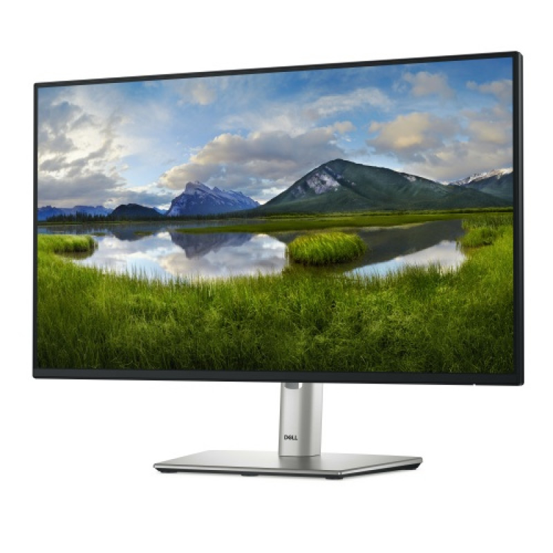 Dell Pro 24 Plus P2425HHF monitor, 24-inch, IPS, FHD 1920x1080, 100 Hz, halogen-free