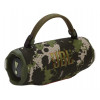 JBL Charge 6 portable Bluetooth speaker, Squad (camouflage)