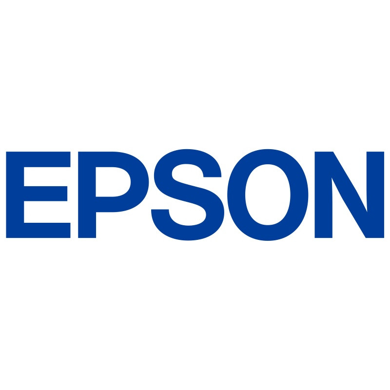 Epson UltraChrome DG2 T55BA C13T55BA00 ink cartridge, 250 ml, white