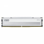 Klevv Fit V KD5AGU880-56K300Q DDR5-5600 CL30 16 GB memory module