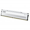 Klevv Fit V KD5AGU880-56K300Q DDR5-5600 CL30 16 GB memory module