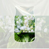 Yankee Candle Clean Cotton hanging car air freshener