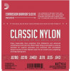 D'Addario EJ27N classical guitar strings, 029–045