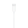 Tech-Protect Ultraboost Core G2 USB-C earphones, white