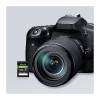 PNY EliteX-PRO60 SDXC memory card 256 GB, UHS-II, Class 10, P-SD256V60280EXP6-GE