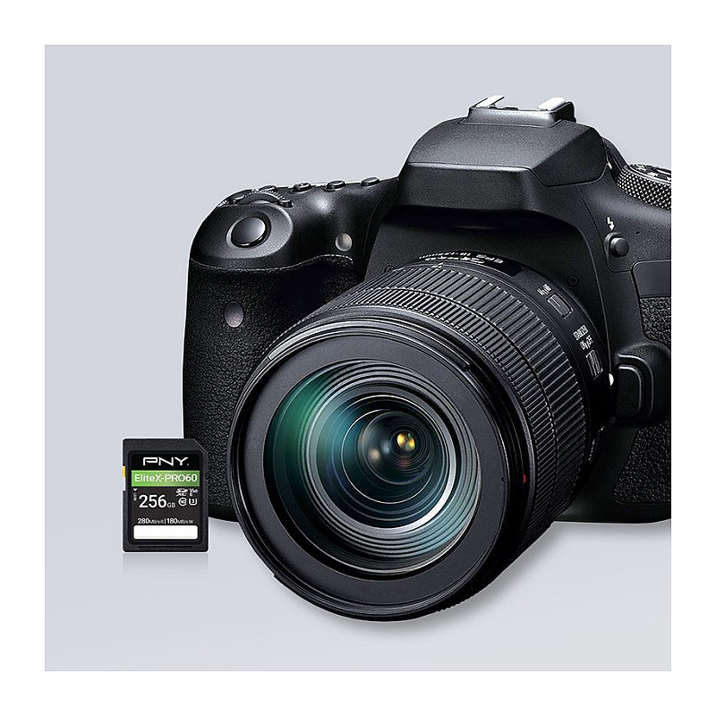 PNY EliteX-PRO60 SDXC memory card 256 GB, UHS-II, Class 10, P-SD256V60280EXP6-GE