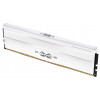 Silicon Power XPOWER Zenith Gaming SP032GXLWU60AFDG, 32 GB (2 x 16 GB), DDR5, 6000 MHz, CL30, 1.35 V, White