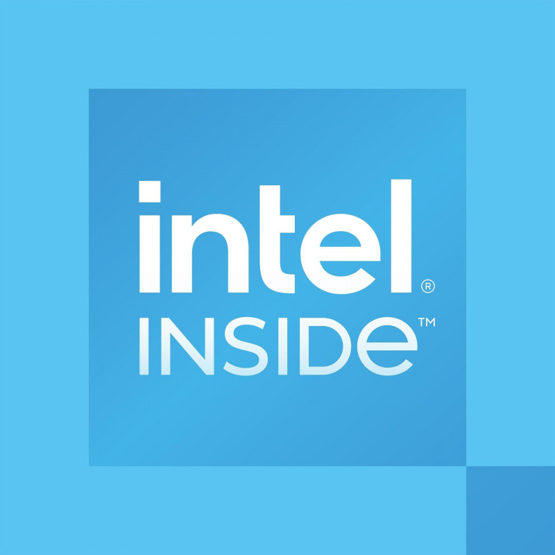 Intel Processor 300 for Desktop, 3.9 GHz, 2 cores, 4 threads, 6 MB cache, FCLGA1700, OEM (CM8071505091904)