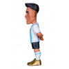 Minix Argentina - Lautaro Martinez (22595) collectible figure