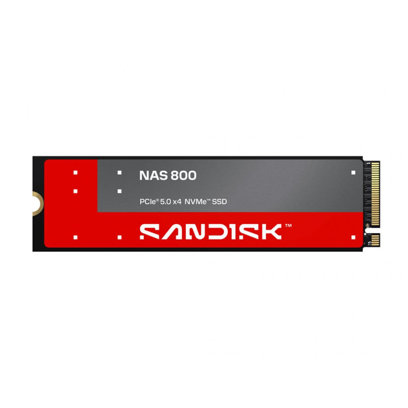 SanDisk NAS 800 3.84 TB M.2 2280 NVMe Gen 5 Internal SSD (SDSNP2384TAN-000E0)