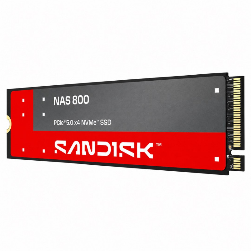 SanDisk NAS 800 1.92 TB M.2 2280 NVMe Gen 5 Internal SSD (SDSNP2192TAN-000E0)