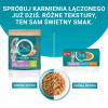 Purina ONE Sensitive Cat Food, Chicken & Carrot, 60 x 85 g