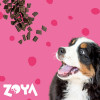 ZOYA ColdPRO Beef dry dog food, 1 kg