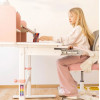 Mark Adler Study 5.0 Desk, Pink