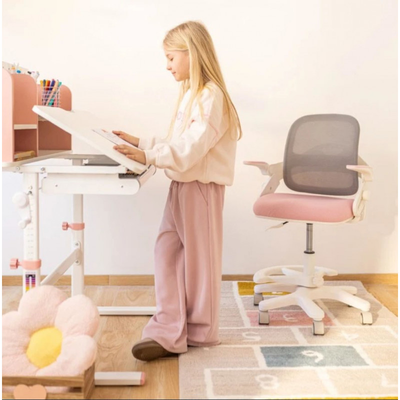 Mark Adler Study 5.0 Desk, Pink