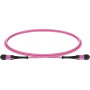 Lightwin MPO-12 Patch Cable OM4, 12F, UPC Female-Female, Type B, 3 m, LSZH