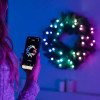 Twinkly Pre-lit Wreath 50 RGB LED, Green wire, Plug type C, 60 cm