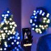 Twinkly Pre-lit Wreath 50 RGB LED, Green wire, Plug type C, 60 cm