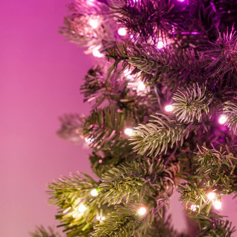 Twinkly Pre-lit Wreath 50 RGB LED, Green wire, Plug type C, 60 cm