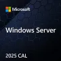 Microsoft Windows Server CAL 2025 Device, OEM, 1 Client (EP2-25232)