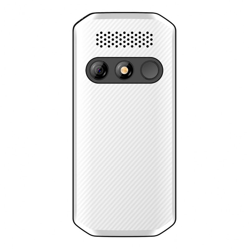 Beafon SL280pro LTE 4G Silver Line Large-Button Feature Phone, black-white