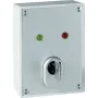 ABUS SE1010 Surface-Mounted Key Switch with Momentary Action, 24V DC, 2 Changeover Contacts, IP54, Silver-Grey