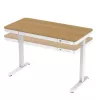 ACJ ACTIVEJET Electric Height Adjustable Desk 120x60 ET119S White/Oak