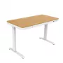ACJ ACTIVEJET Electric Height Adjustable Desk 120x60 ET119S White/Oak