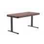 ACJ ACTIVEJET ET119S-CZ/O Electric Height Adjustable Desk 120x60 cm Black/Walnut
