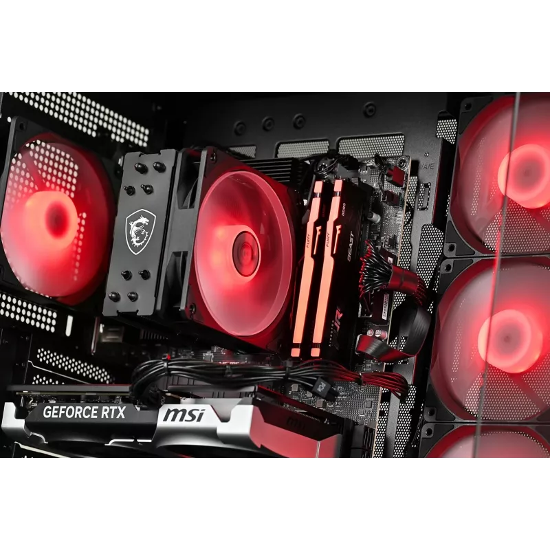 Actina Desktop PC AMD Ryzen 5 5600 16GB DDR4 500GB SSD NVIDIA GeForce RTX 5060 Windows 11 Home Midi Tower Black