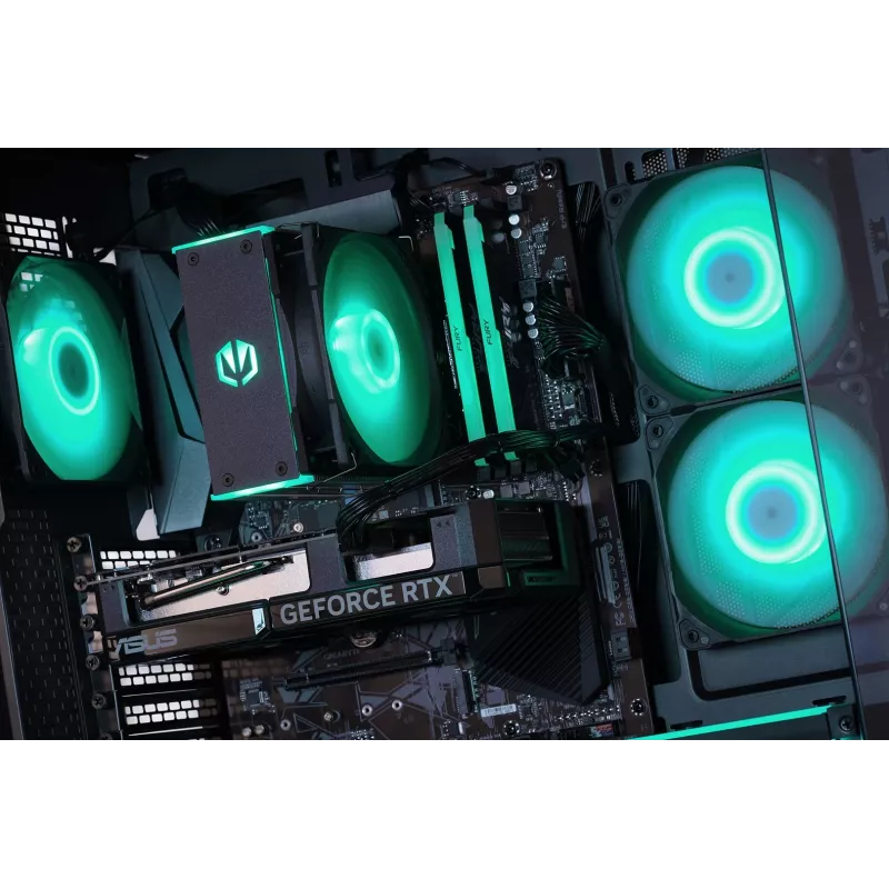ACTINA PC AMD Ryzen 5 5600X 32 GB DDR4-SDRAM 1 TB SSD NVIDIA GeForce RTX 5060 Midi Tower Black