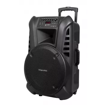 ACTIVE KEY Active Speaker Cabinet with 2 Wireless Microphones UHF, SD, Bluetooth, FM, USB, 60 Watt