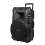 ACTIVE KEY Active Speaker Cabinet with 2 Wireless Microphones UHF, SD, Bluetooth, FM, USB, 60 Watt
