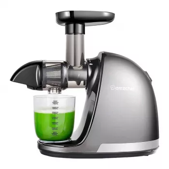 AMZCHEF 1501-GA Slow Juicer (Grey)