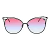 ANA HICKMANN Women's Sunglasses HI3048-5809C Brown/Gold Gradient 58mm