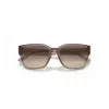 Arnette AN4325-290613 Men's Sunglasses Matte Black Dark Grey 53mm