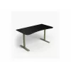 Arozzi Arena Medium ARENA-MEDIUM-FST Gaming Desk, 140 × 75.5 cm, Forest Green