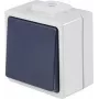 AS SCHWABE 62452 Surface-Mount Push Button Switch, IP54, Grey, 250V/10A, 1NO