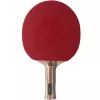 ATEMI 3000 Pro Concave Table Tennis Racket - ITTF Approved Offensive Blade with APS Technology