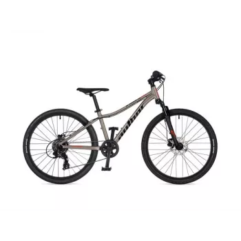 Author A-Matrix 24D Front Wheel 24 inch Titanium Matte/Black Matte