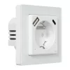 AVATTO WOT20-FR Smart Outlet