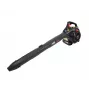 AWTOOLS 3-in-1 Leaf Blower Vacuum Mulcher 0.75 kW 1 HP 450 ml LBV340