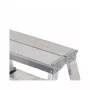 AWTOOLS AW23005 Ladder