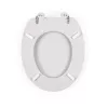 Beldray LA032355PGRY Wooden Toilet Seat, White - Soft Close D-Shape with Quick Release Hinges