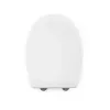 Beldray LA037062PEU7 Anti-bac Quick-release Toilet Seat, White