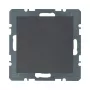 Berker 1009 16 06 Blank Cover ANT B.1/B.3 with Central Piece