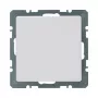 Berker 10096089 Blind Cover Q.1 with Central Piece, Polar White Velvet, Thermoplastic, IP20, 1 Module
